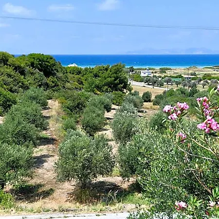 Summer View 2*